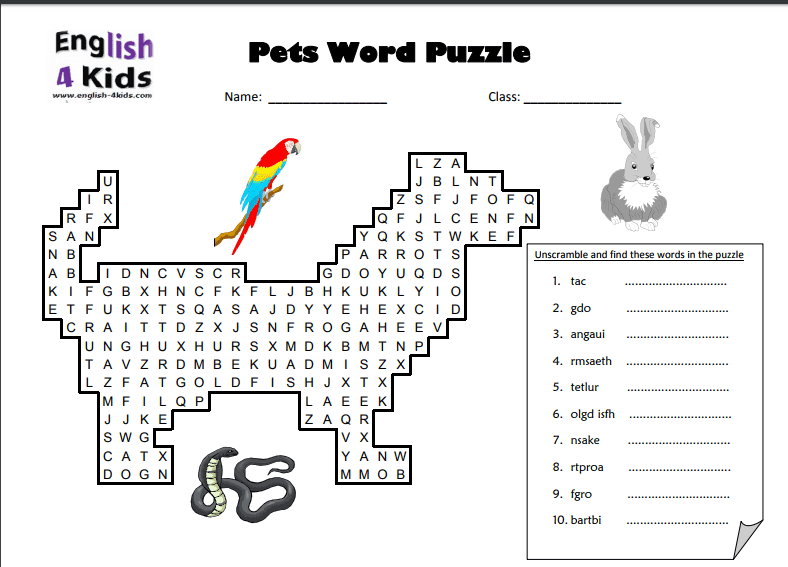 Pet tasks. English Worksheets Pets. Упражнения английский my Pet. Pets задания для детей. My Pet Worksheet.